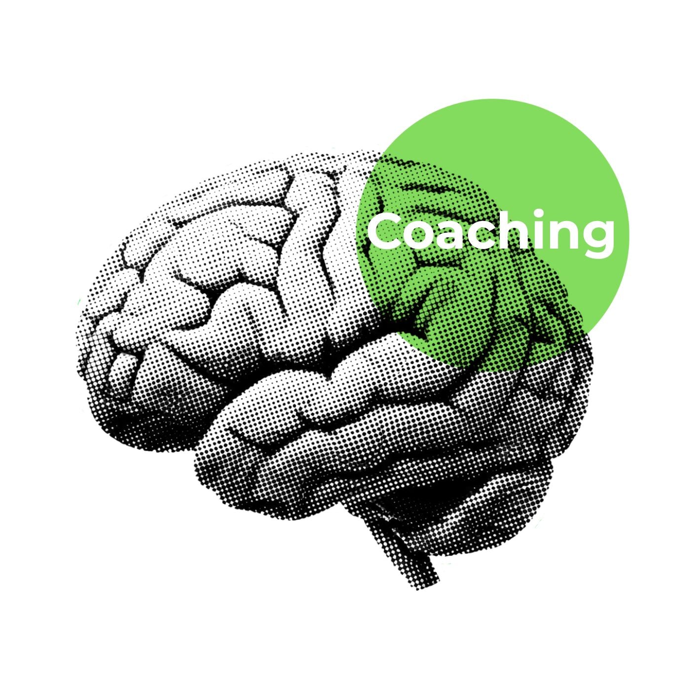 Programa  coaching y neurociencia | Joaquin Triandafilide